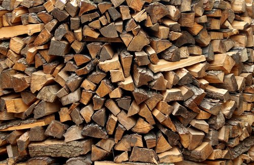 wood  tree  fuel