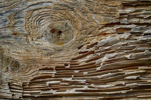 wood  old  weathered