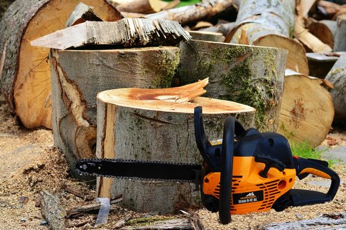 wood  trees  cuts