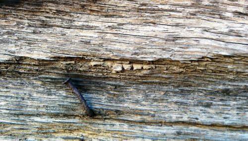 wood nail rusty