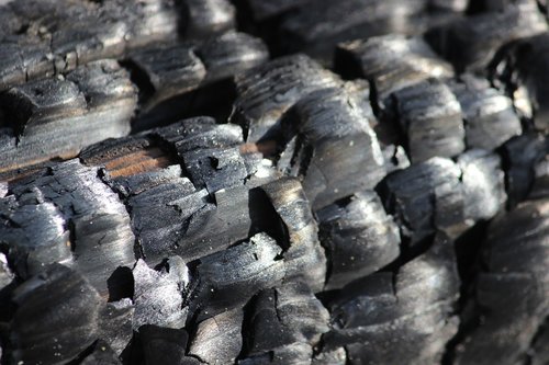 wood  fire  carbon