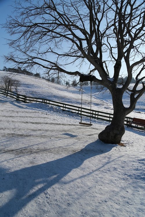 wood  snow  winter