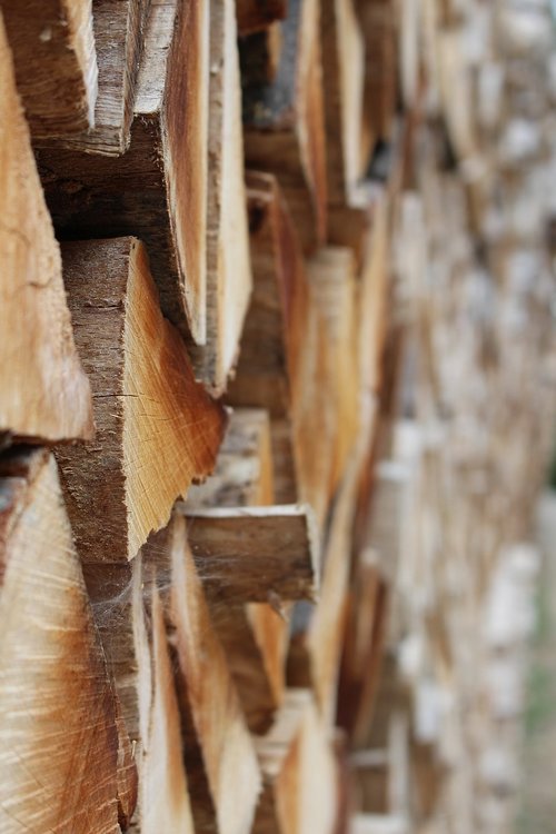 wood  timber  lumber