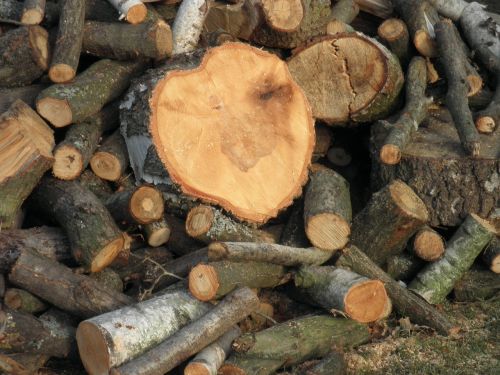 wood sawn timber