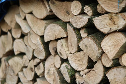 wood  wood cutting  stere