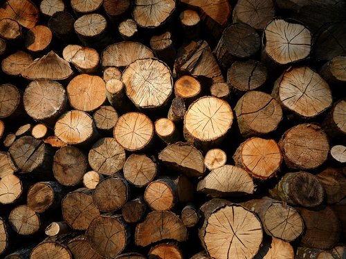 wood  logs  bucheronnage