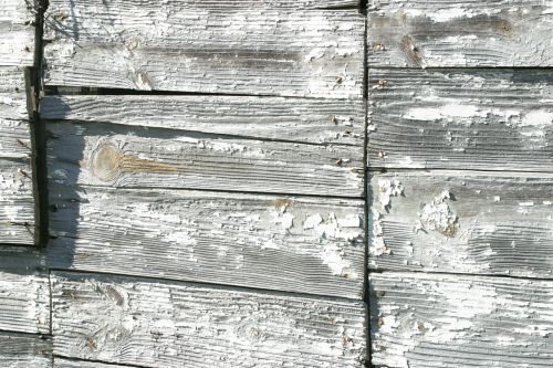 wood panels wooden