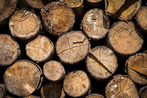 wood  pile of wood  firewood