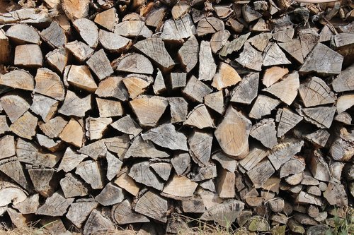 wood  log  firewood