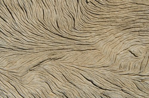 wood veins texture