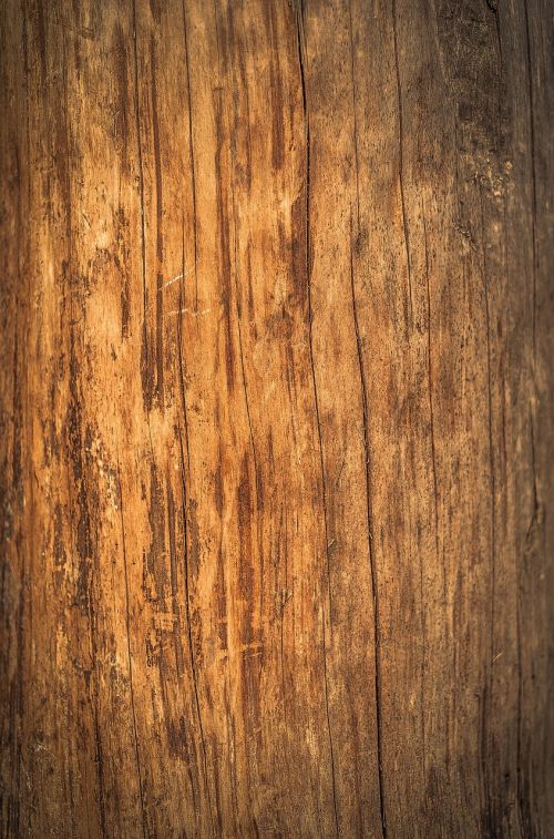 wood old board