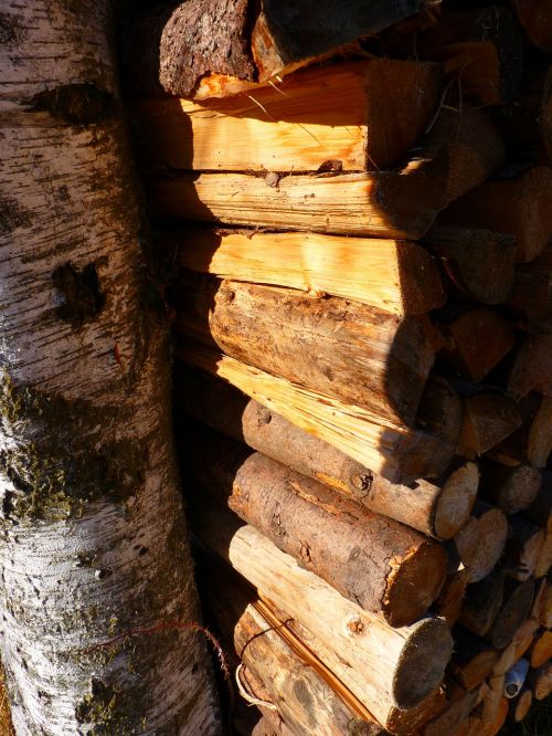 wood firewood log