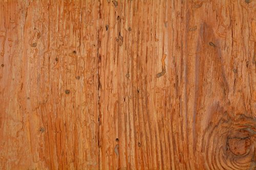 wood structure background