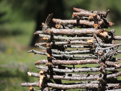 wood holzstapel firewood