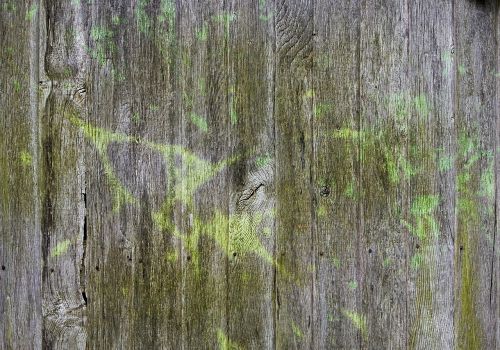 wood grey green