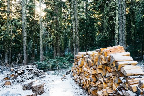 wood logs timber