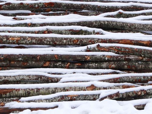 wood snow winter