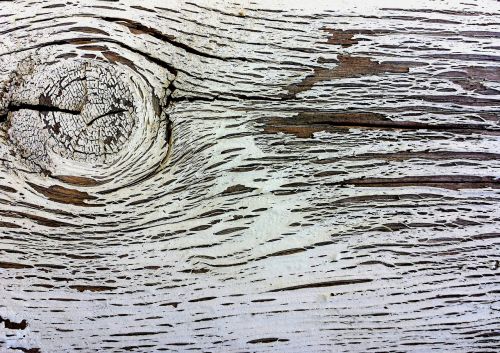 wood old wood knot
