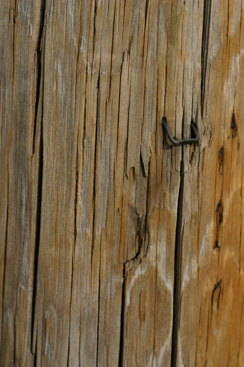 wood texture telephone pole