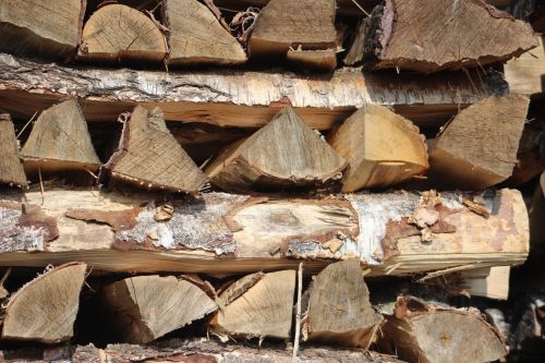 wood holzstapel growing stock