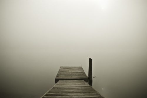 wood dock fog