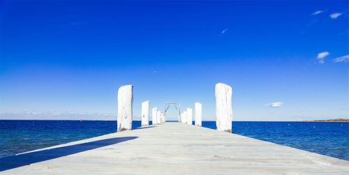 wood dock posts