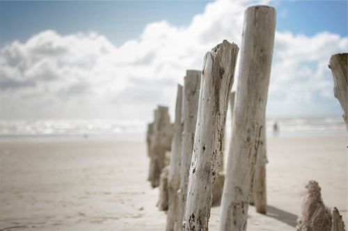 wood posts beach