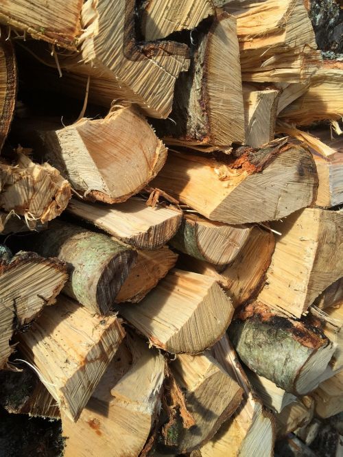 wood nature timber