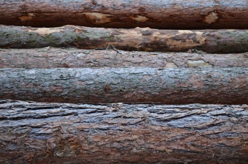 wood nature texture