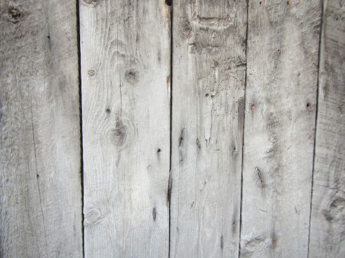 wood texture wooden