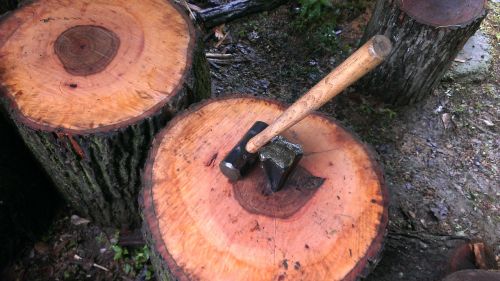 wood hammer job