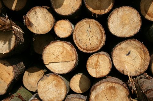 wood strains log