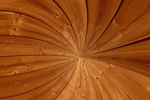 wood grain structure