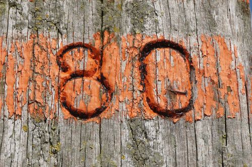 wood orange eighty