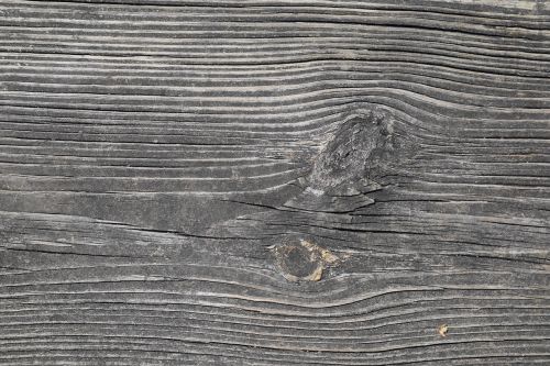 wood texture wooden