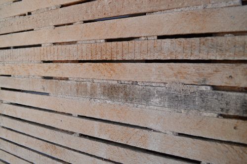 wood lath wall