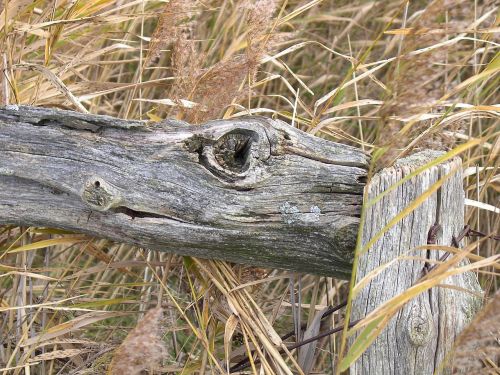 wood art fence sylt