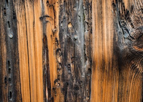 Wood Background