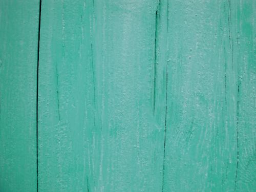 Wood Background Texture Green