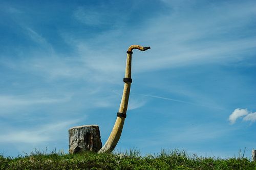 wood carving large whistle sky
