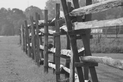wood fence splitrail fence rural