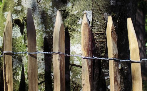 wood fence pole fence wooden fences