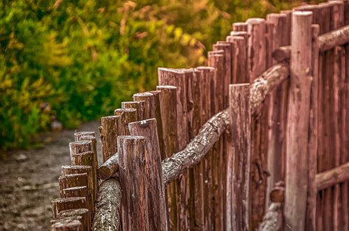 wood fence  fence  wood