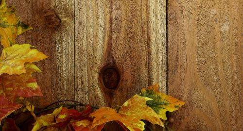 Wood Fence &amp; Fall Leaves Background