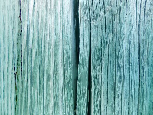 Wood Fence Texture Closeup