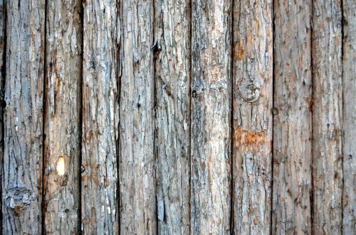 Wood Fence