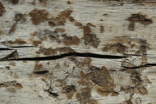 wood-fibre boards texture nature