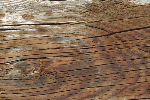 wood-fibre boards tree ground