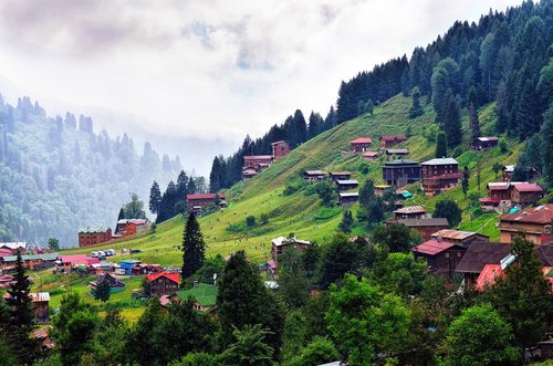 wood-fibre boards  mountain  home