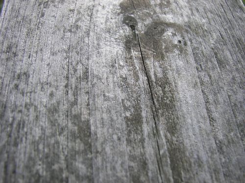 wood grain texture plank